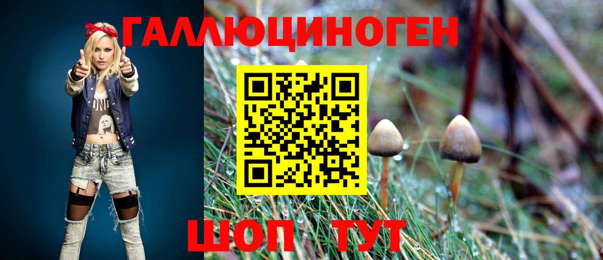 Псилоцибиновые грибы Magic Shrooms  Вход с VPN  купить закладку  Рыбинск 